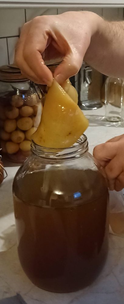Kombucha, Basic with Second Ferment