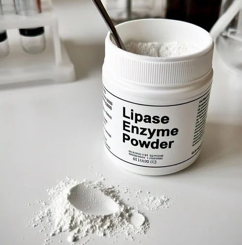 Lipase Powder — Out of the container
