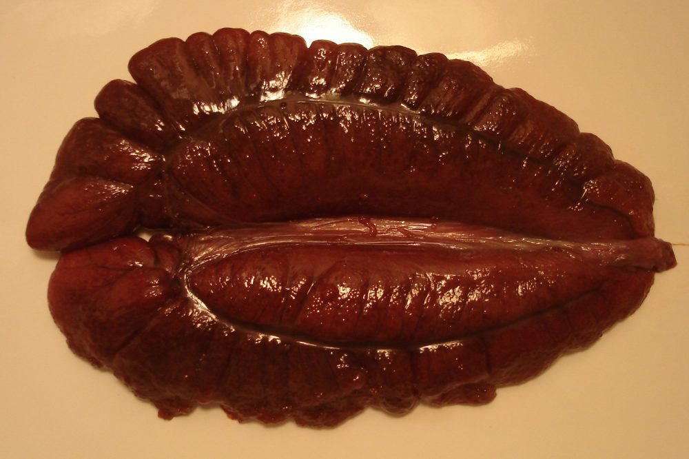 Pan-Fried Shad Roe (Jeff's)