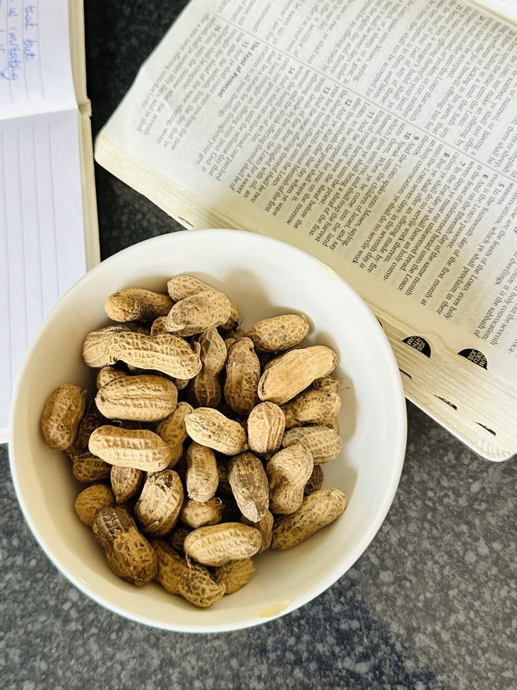 Peanuts, Boiled, Vietnamese (Đậu Phộng Luộc)