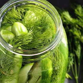 Pickles, Dill, Fermented, Kosher-Style