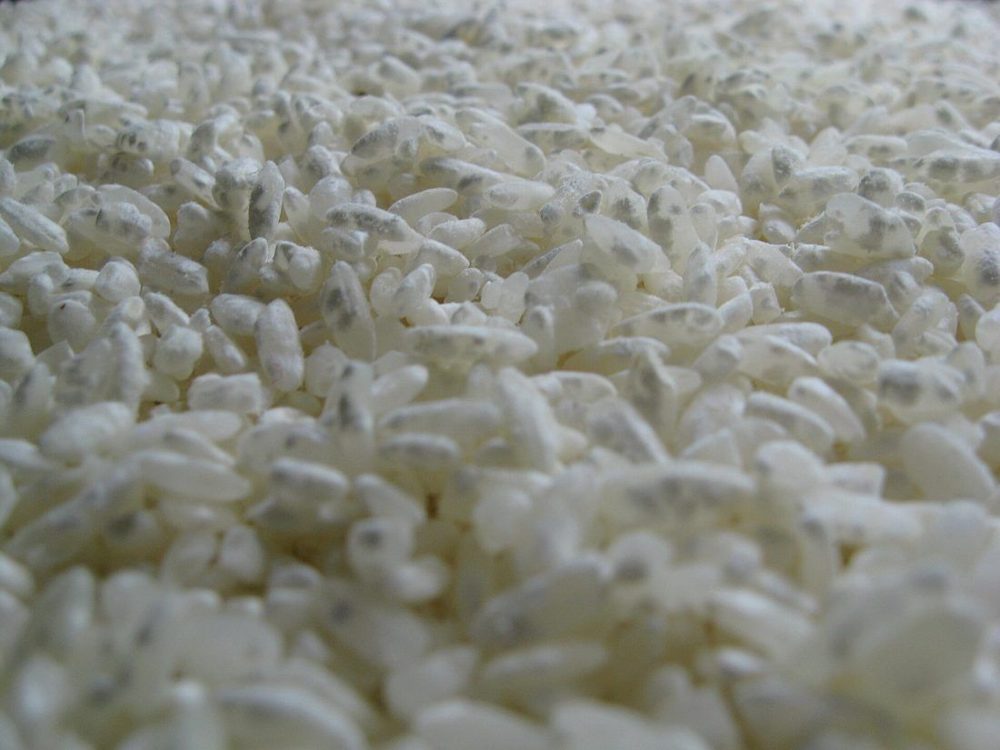 Shio Koji