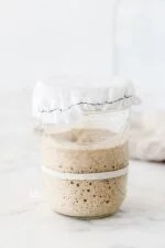 Sourdough Starter, GF