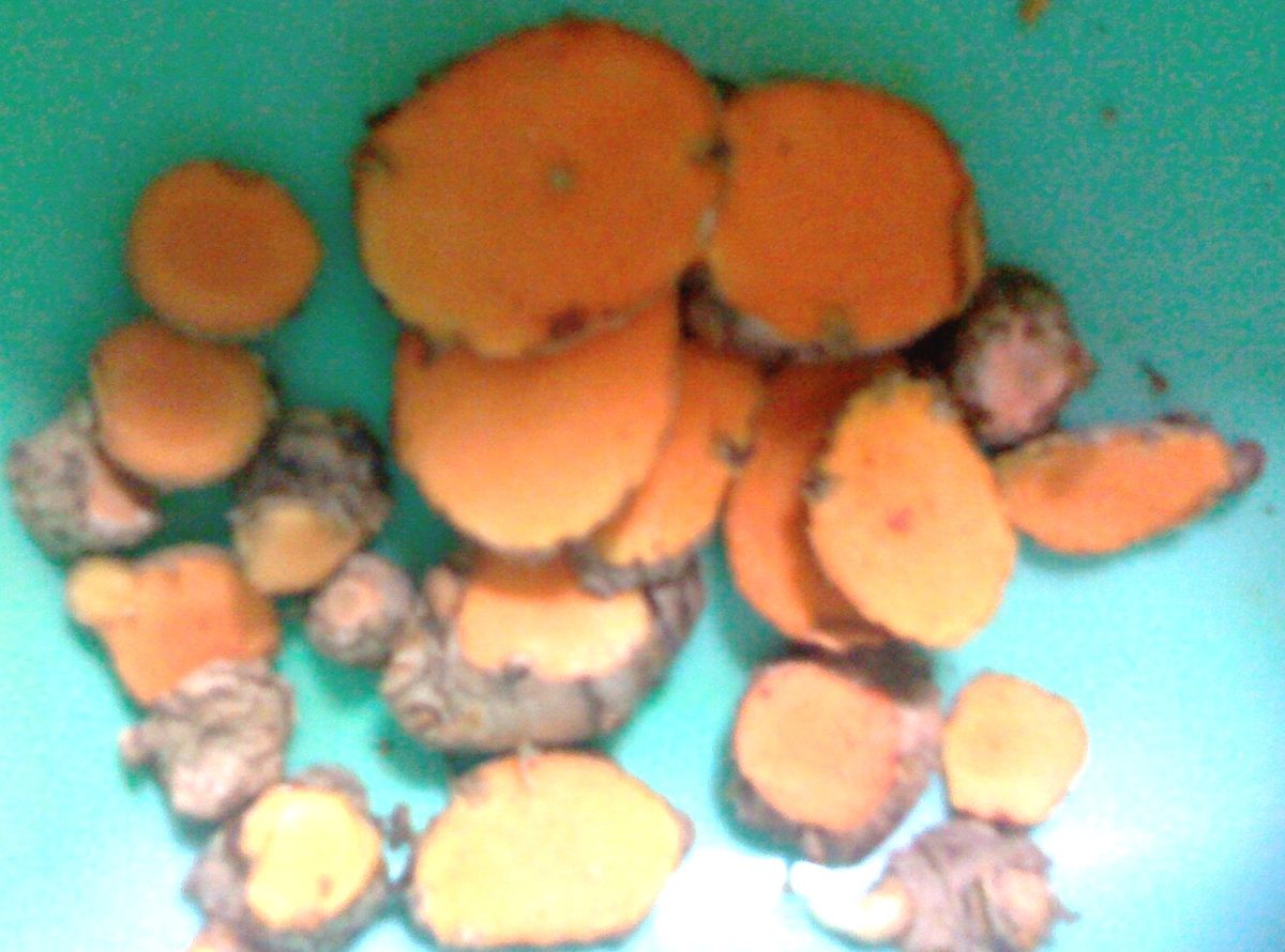 Turmeric — Out of the container