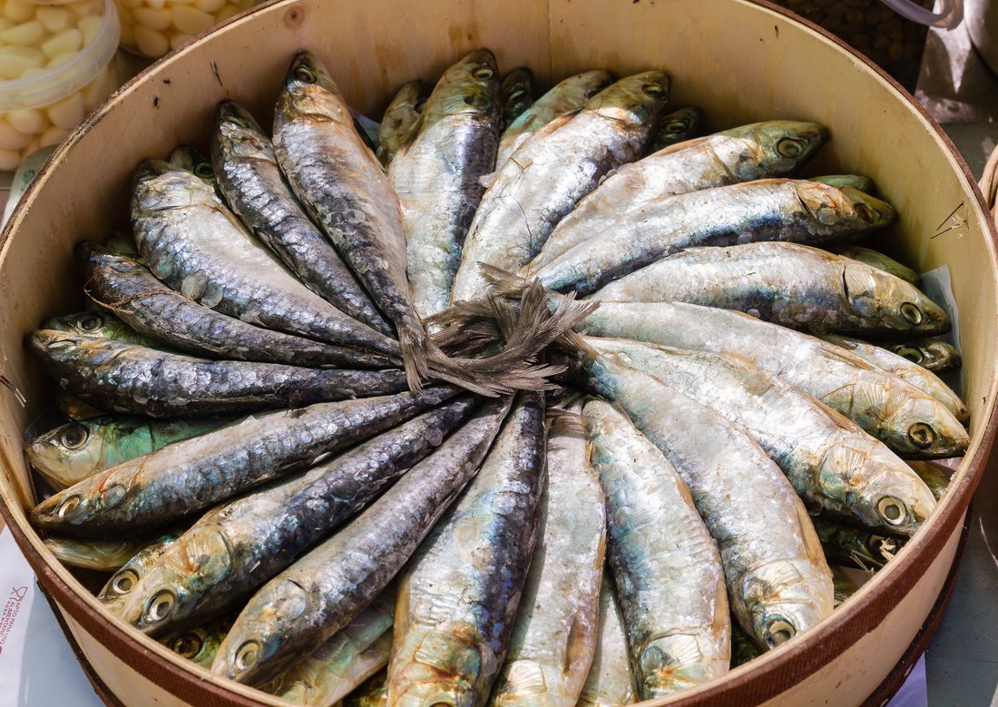 Small silver fish packed and tied into a round box for curing — the shape preserved fish has been sold in for centuries, and the reason long voyages were possible