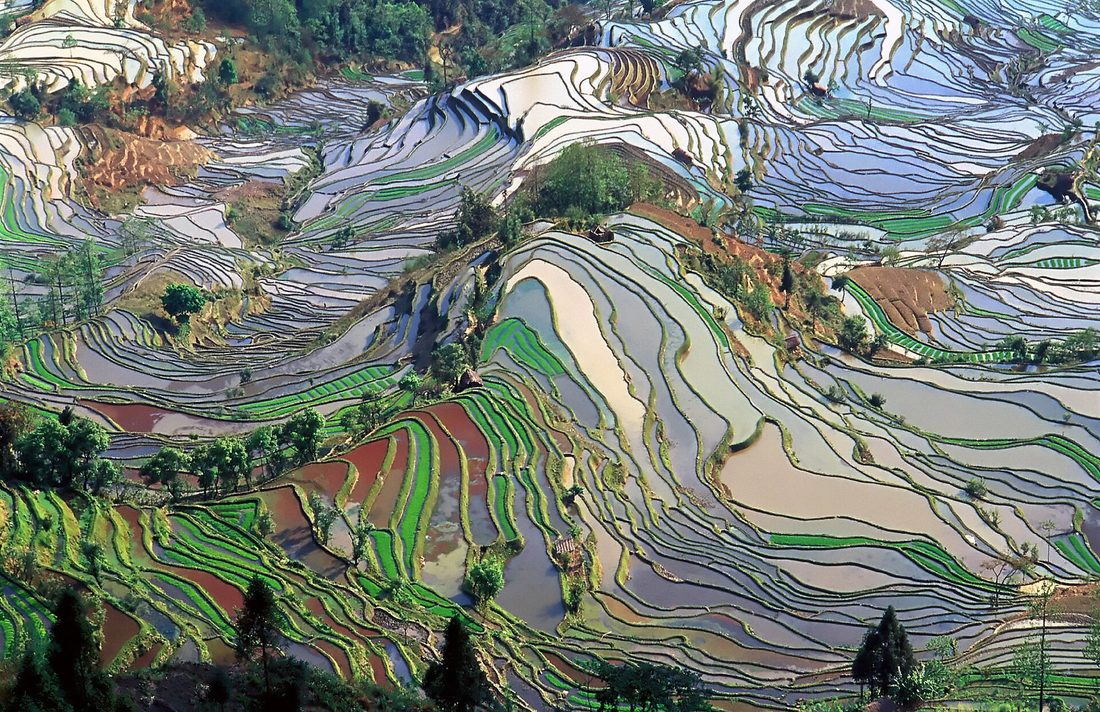 Terraced rice paddies stepping down a green hillside in southern China, flooded and reflecting the sky