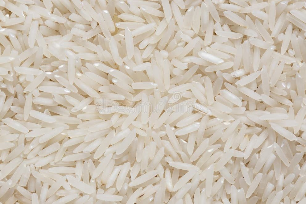 Two small bowls of dry uncooked long-grain rice side by side, extra-long slender basmati grains on the left and slightly shorter jasmine grains on the right
