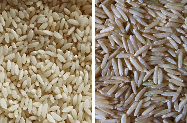 An overhead comparison board of many rice varieties in labeled piles: basmati, jasmine, arborio, bomba, sushi rice, glutinous, black, red, brown, and parboiled, showing the range of grain shapes and colors