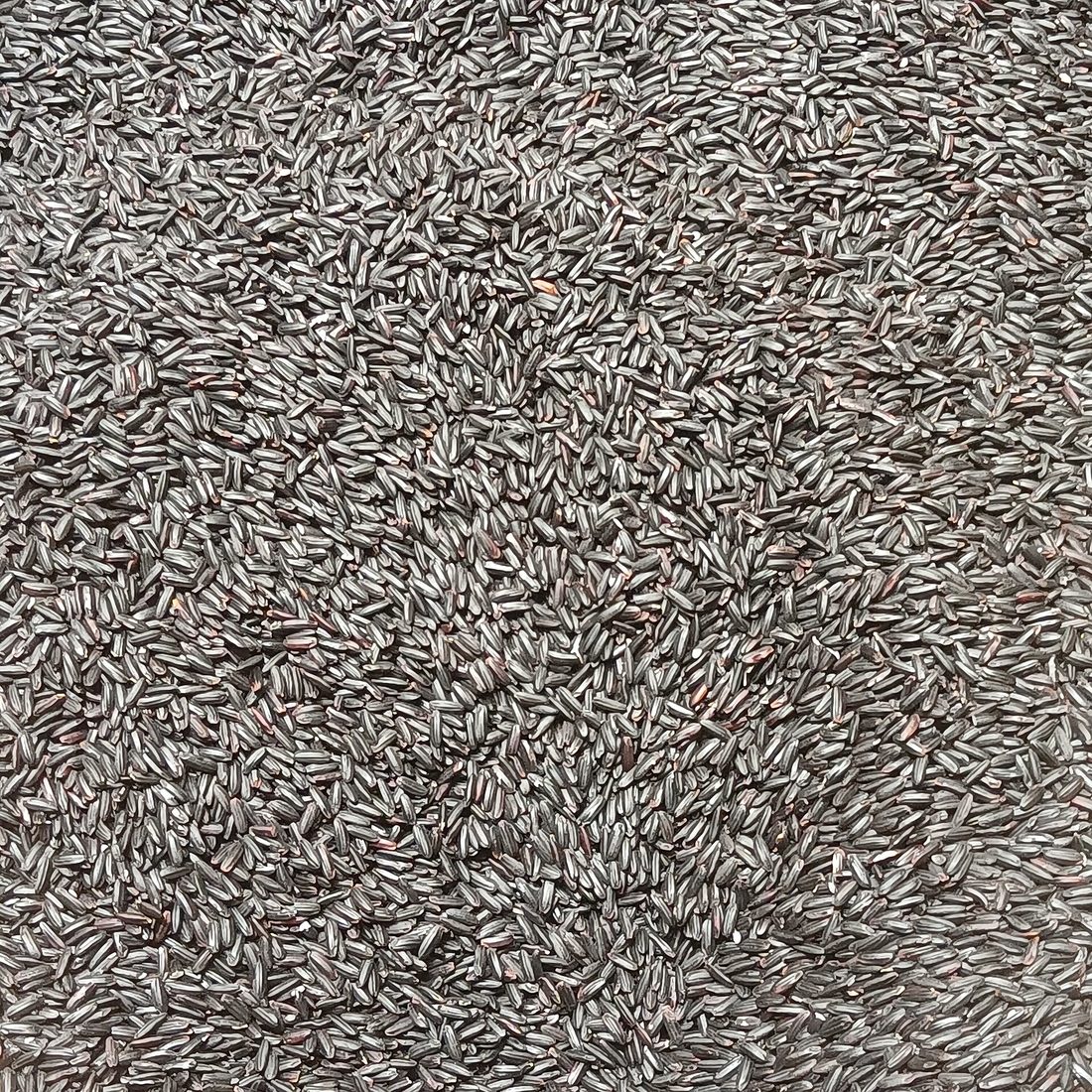 A rustic spread of three pigmented rices in separate piles: deep purple-black forbidden rice, russet-red Bhutanese red rice, and reddish Camargue red rice