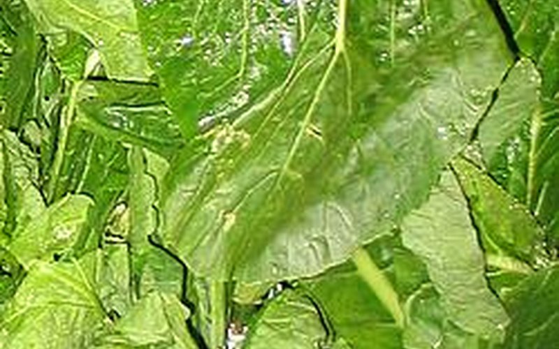 Greens and Pot Likker