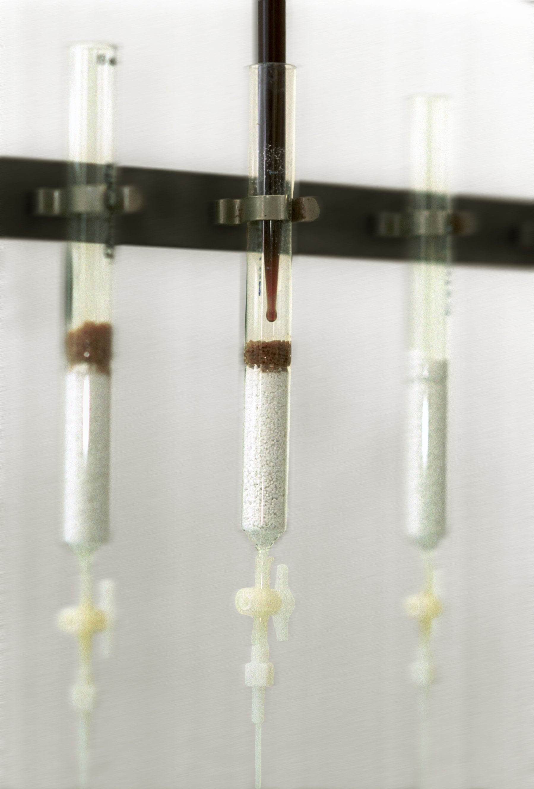 Laboratory test tubes of dark soy sauce mounted in a rack, part of a 3-MCPD analysis