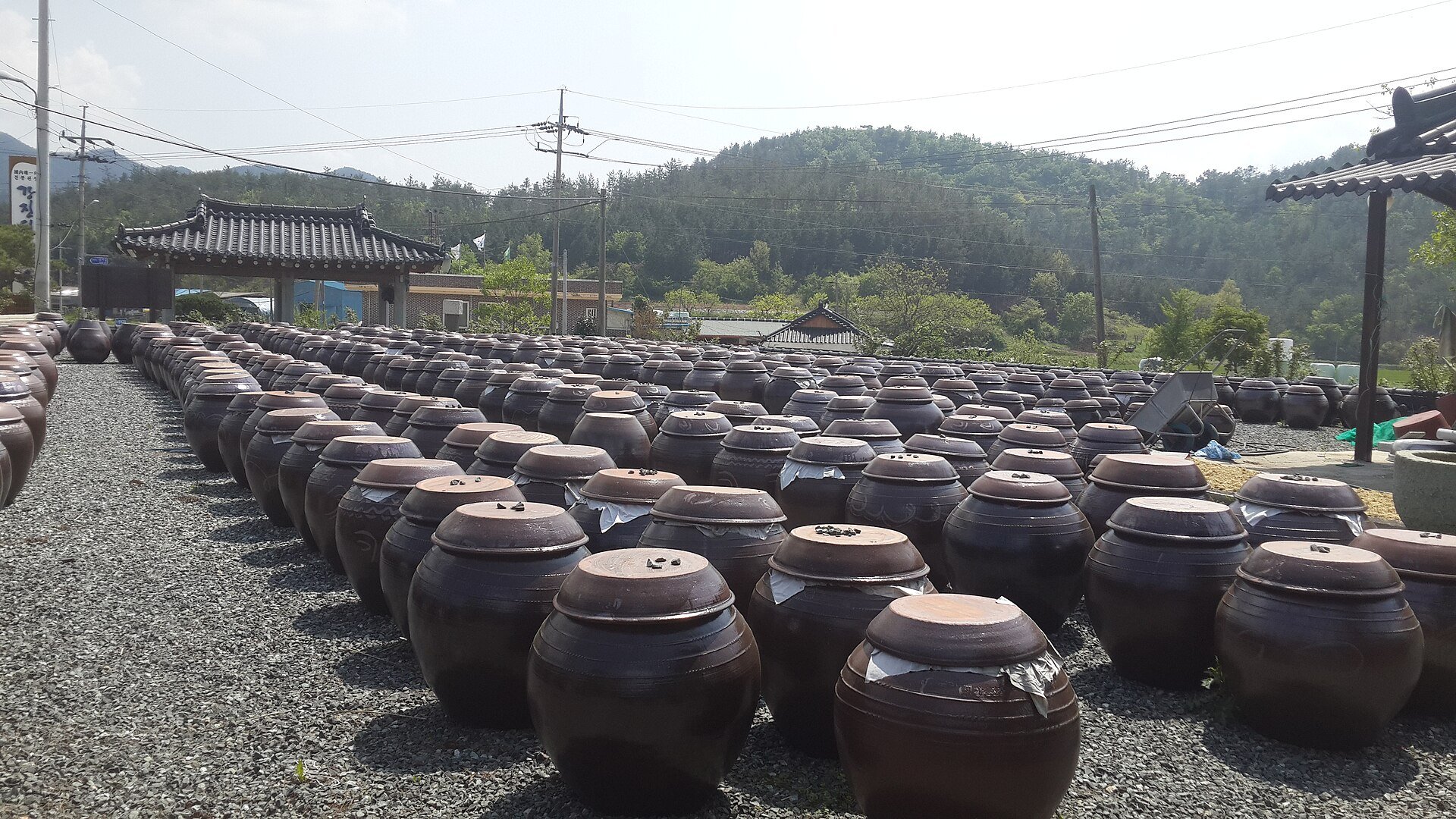 Rows of dark onggi crocks standing in the open on a raised terrace, dozens of them, with a tiled roof behind