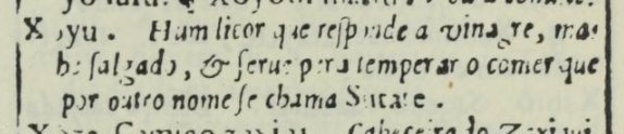 The 1603 Vocabulario entry for "Xoyu", in Portuguese black-letter type